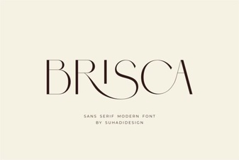 Brisca Font: Modern Designs & Creative Projects